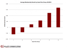 The Membership Growth Problem: Asset Group Breakdown