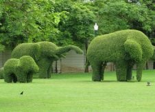 Why your work should include elephant topiaries