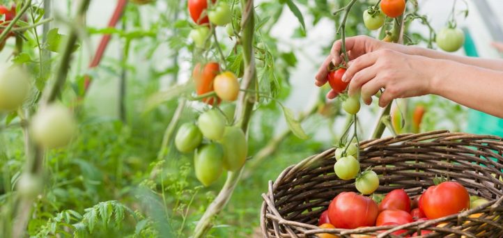 How to avoid becoming one of credit unions’ rotten tomatoes