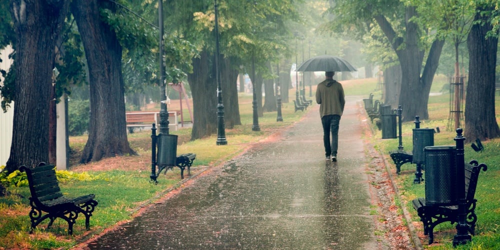 Rainy Day In The Park. Man Walking With Umbrella Under The Rain. Rain