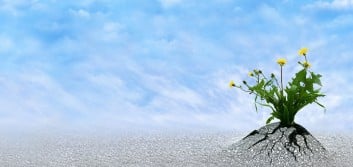 The power of resilience within your credit union