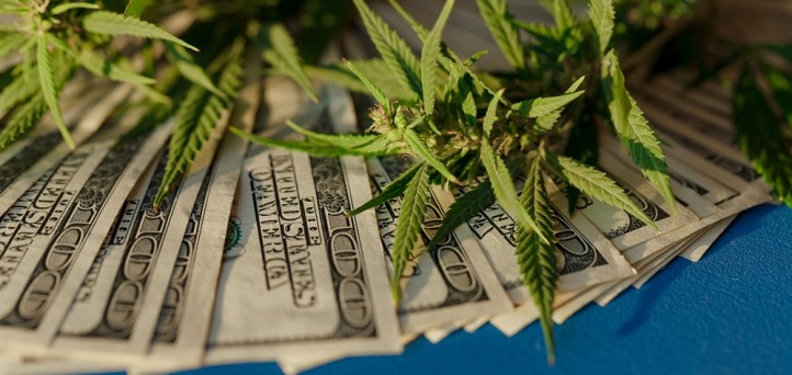 Questions to ponder before entering the cannabis banking marketplace