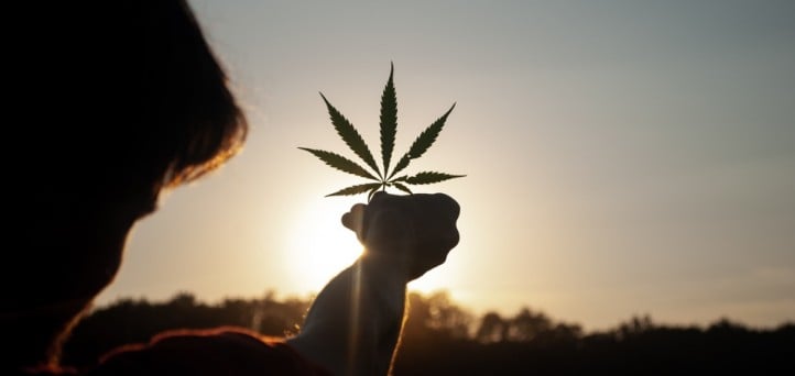 2022: Cannabis in review