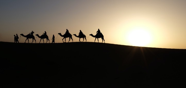 CFO Focus: A timely reminder about CAMELS