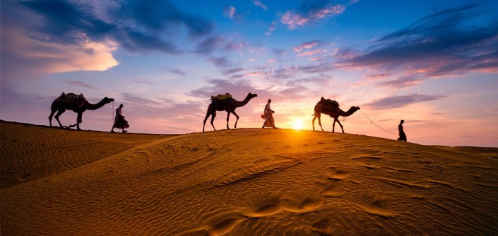 From CAMEL to CAMELS