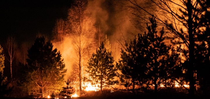 New Mexico’s Calf Canyon inferno a powerful reminder the importance of life event loans