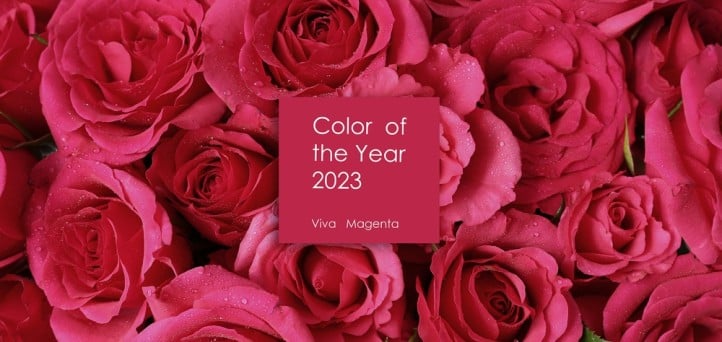 Viva magenta! What the 2023 Pantone® Color of the Year brings to credit unions