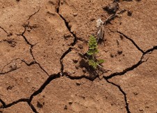 What can be done about the drought of new credit union charters?