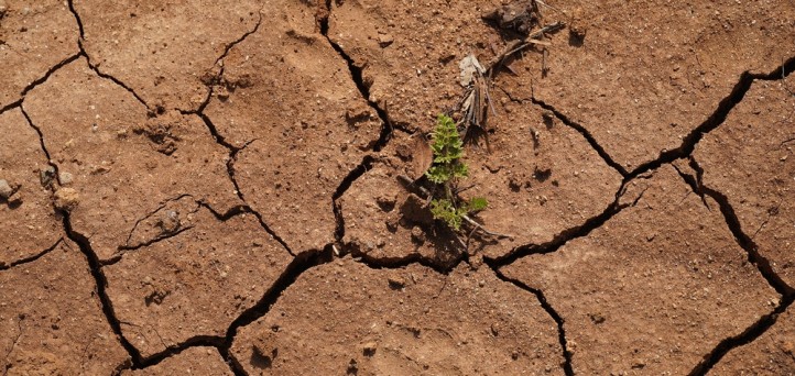 What can be done about the drought of new credit union charters?