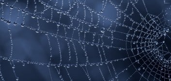 Put the “web” in your credit union website