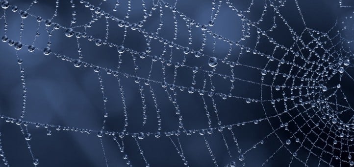 Put the “web” in your credit union website