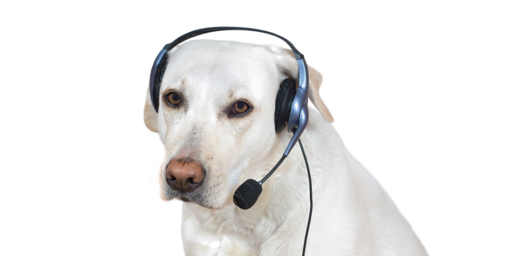 bigstock-Dog-Support-Operator-7074747